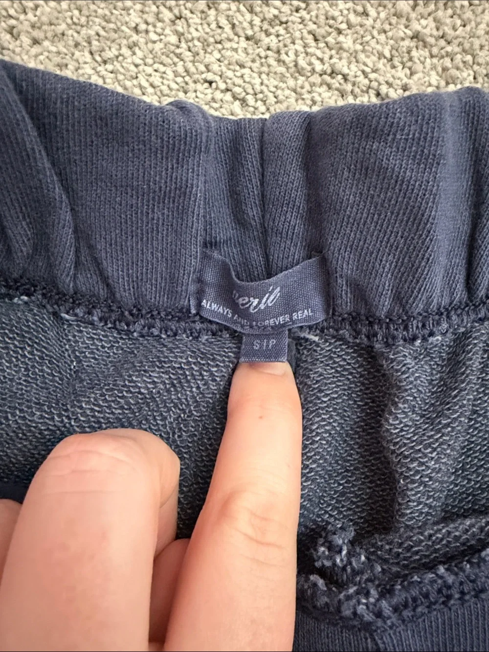 Aerie Navy Blue Shorts